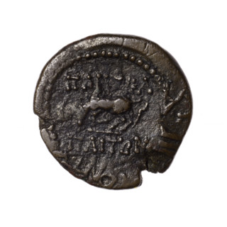 bronze coin, Pantikapaion; obverse: head of Apollo in laurel wreath facing right; reverse: grazing