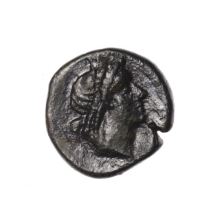 bronze coin, Pantikapaion, head of Apollo (iconographic), Pegasus (mythological), Black Sea, Apollo
