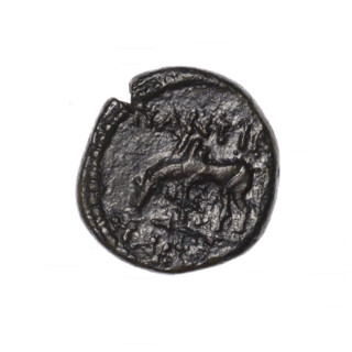 Bronze coin, Pantikapaion; obverse: head of Apollo in laurel wreath facing right; reverse: grazing