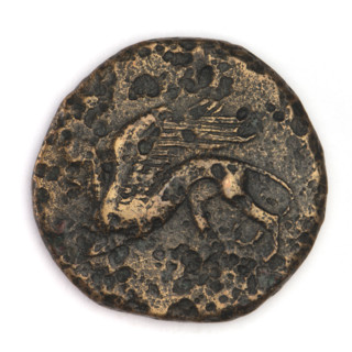 Bronze coin, Chersonesos, 330–320 BC. Obverse: eagle-headed griffin to left. Reverse: Artemis