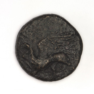 bronze coin, Chersonesos, griffins, Artemis kneeling, Black Sea, Artemis (mythology), Artemis with