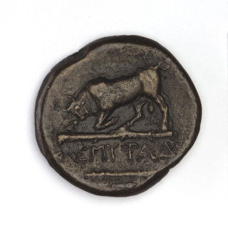 bronze coin, Chersonesos, bulls, Artemis killing a doe (iconographic), quivers, clubs, Black Sea,