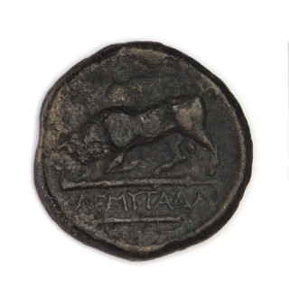bronze coin, Chersonesos, bulls, Artemis killing a doe (iconographic), quivers, clubs, Black Sea,