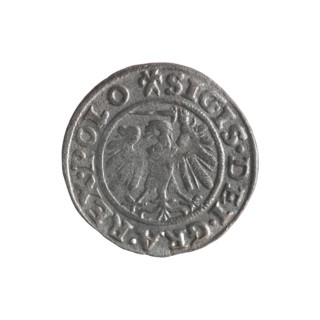 Gdansk szelag, Sigismund I the Old (King of Poland; 1506–1548). Obverse: Eagle of Royal Prussia, in