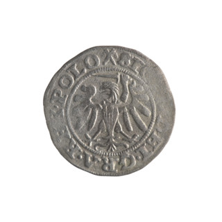 Gdansk szelag, Sigismund I the Old (King of Poland; 1506–1548). Obverse: Eagle of Royal Prussia; in