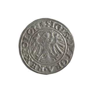 Gdansk szelag, Sigismund I the Old (King of Poland; 1506–1548). Obverse: Eagle of Royal Prussia; in