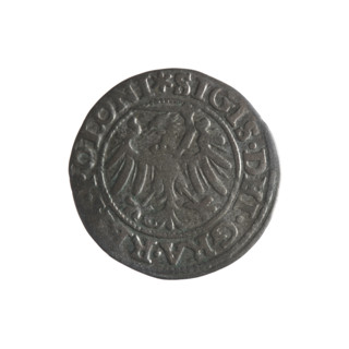 Gdansk szelag, Sigismund I the Old (King of Poland; 1506–1548). Obverse: Eagle of Royal Prussia, in