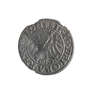 Gdansk szelag, Sigismund I the Old (King of Poland; 1506–1548); obverse: Eagle of Royal Prussia,