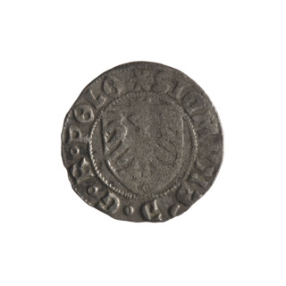 Gdansk szelag, Sigismund I the Old (King of Poland; 1506–1548). Polish coin (1525). Obverse: