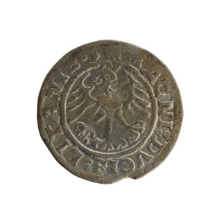 Lithuanian half-grosz, Sigismund I the Old (king of Poland; 1506–1548). Polish coin, 1519. Obverse: