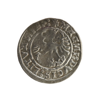 Lithuanian half-grosz, Sigismund I the Old (king of Poland; 1506–1548). R8 (rarity). Polish coin of