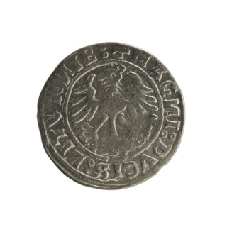 Lithuanian half-grosz, Sigismund I the Old (king of Poland; 1506–1548). R8 (rarity). Polish coin