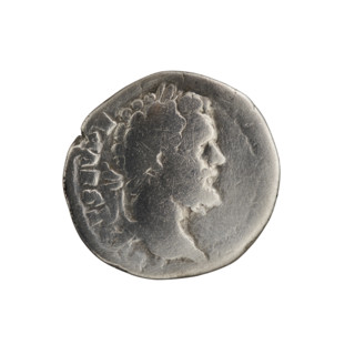 Denarius; obverse: Head of Septimius Severus with laurel wreath facing right, inscription T SEV PE