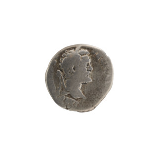Denarius of Septimius Severus (146–211; Roman emperor 193–211). Obverse: Head of Septimius Severus