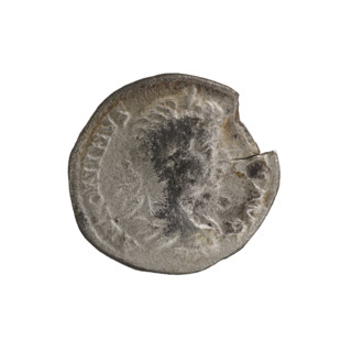 Denarius, Caracalla (188–217; Roman emperor 198–217). Obverse: ANTONINVS PIVS AVG — Bust of
