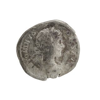 Denarius, Caracalla (188–217; Roman emperor 198–217). Obverse: ANTONINVS PIVS AVG — Head of