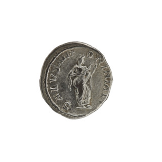 Denarius, Salus standing in front of an altar feeding a snake (iconographic). Obverse: IMP CAES