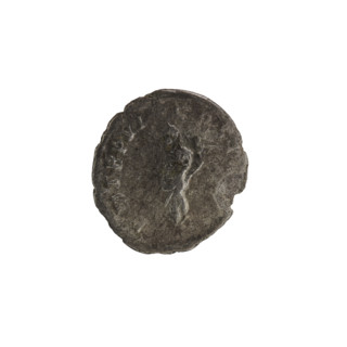 Denarius, Alexander Severus (208–235; Roman emperor 222–235). Obverse: Bust of Alexander Severus