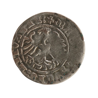 Lithuanian half-grosz, Sigismund I the Old (King of Poland; 1506–1548), Jagiellon dynasty. Obverse: