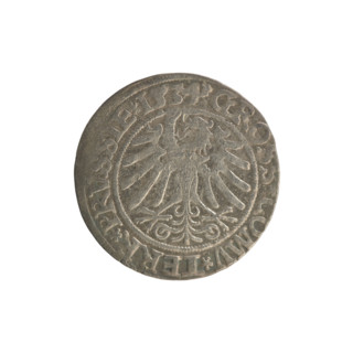 Prussian grosz, Sigismund I the Old (King of Poland; 1506–1548). Obverse: Crowned male bust in