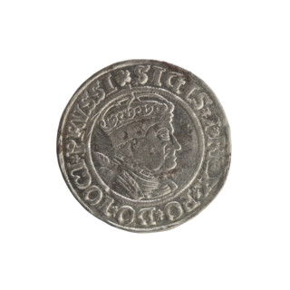 Prussian grosz, Sigismund I the Old (King of Poland; 1506–1548). Polish coin, Jagiellonian dynasty.