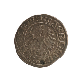 Lithuanian half-grosz, Sigismund I the Old (king of Poland; 1506–1548). Coin (1509). Obverse: