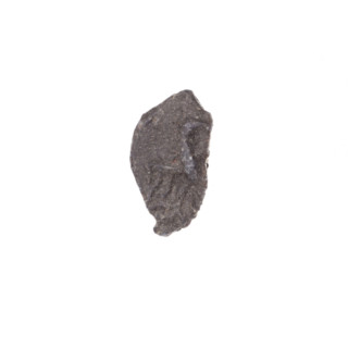 Fragment of a double-sided Drohiczyn seal. On one side an eagle with its head turned to the right;