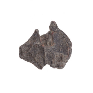 Fragment of a double-sided Drohiczyn seal. On one side, an eagle with its head turned to the left;
