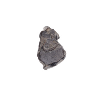 Drohiczyn seal; guild seals; town seals; customs house seals; official seals; customs seals; seals