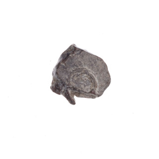 Fragment of a double-sided Drohiczyn seal. On one side, a cross with one arm ending in a triangle