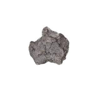 Fragment of a double-sided Drohiczyn seal. On one side, a cross with one arm ending in a triangle