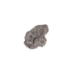 Drohiczyn seal, guild seals, customs seals, town seals, customs chamber seals, official seals,
