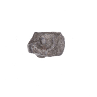 Drohiczyn seal; guild seals; customs seals; customs chamber seals; town seals; official seals;