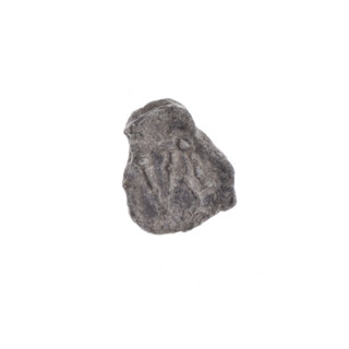 Drohiczyn seal — fragment of a double-sided customs/guild/town seal. One side: a trident with dots