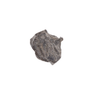 Drohiczyn seal; fragment of a double-sided seal. One side: a trident with dots at the ends of the