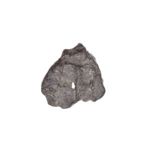 Fragment of a double-sided Drohiczyn seal. On one side a two-pronged shape is visible; on the other
