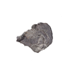 Fragment of a double-sided Drohiczyn seal. Illegible drawing on one side and the other. 11th–13th