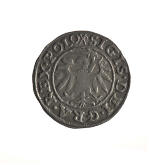 Gdansk szelag, Sigismund I the Old (King of Poland; 1506–1548). Obverse: Eagle of Royal Prussia; in