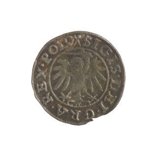 Gdansk szelag, Sigismund I the Old (King of Poland; 1506–1548). Obverse: Eagle of Royal Prussia, in