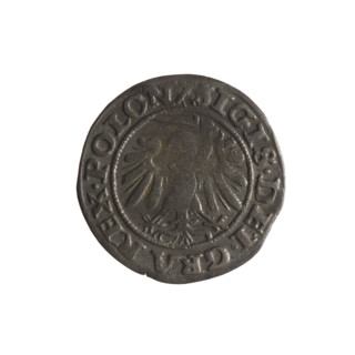 Gdansk szelag, Sigismund I the Old (King of Poland; 1506–1548). Obverse: Eagle of Royal Prussia; in
