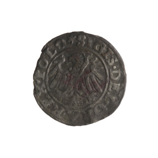 Gdansk szelag, Sigismund I the Old (King of Poland; 1506–1548). Obverse: Eagle of Royal Prussia; in