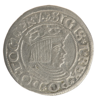 Gdansk grosz, Sigismund I the Old (King of Poland; 1506–1548). Polish coin (1534). Obv.: Crowned
