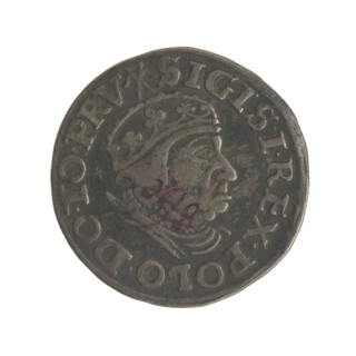 Gdansk trojak, Sigismund I the Old (King of Poland; 1506–1548). Obverse: Crowned male bust in