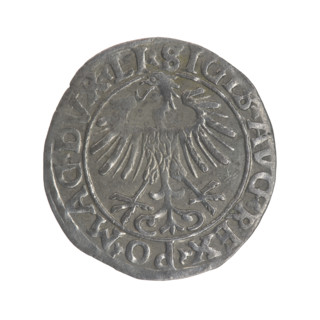 Lithuanian half-grosz, Sigismund II Augustus (King of Poland; 1544–1572). Obverse: Polish Eagle; in