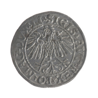 Lithuanian half-grosz, Sigismund II Augustus (King of Poland; 1544–1572). Obverse: Polish Eagle; in