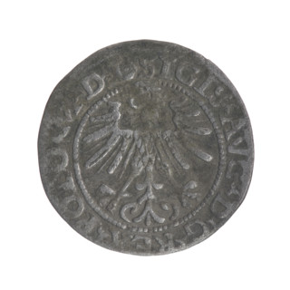 Lithuanian half-grosz, Sigismund II Augustus (King of Poland; 1544–1572). Obverse: Polish Eagle; in
