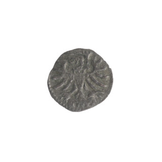 Gdansk denarius, Sigismund II Augustus (King of Poland; 1544–1572). Obverse: in the border the