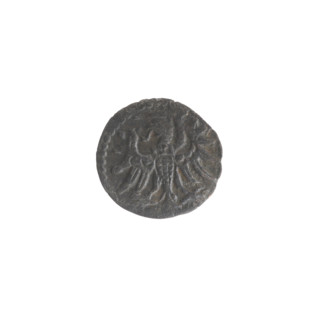 Gdansk denarius, Sigismund II Augustus (King of Poland; 1544–1572); obverse: in the border the