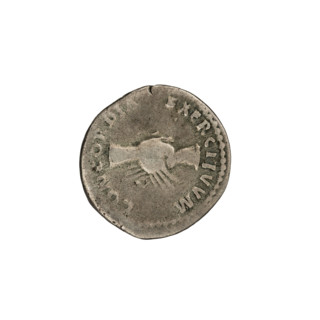 Denarius, Nerva (Roman Emperor; 96–98). Obverse: Nerva's head in a laurel wreath at right with
