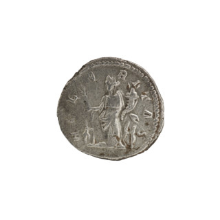 Denarius depicting Julia Domna (ca. 160–217), Roman empress (193–211). Obverse: bust of Julia Domna